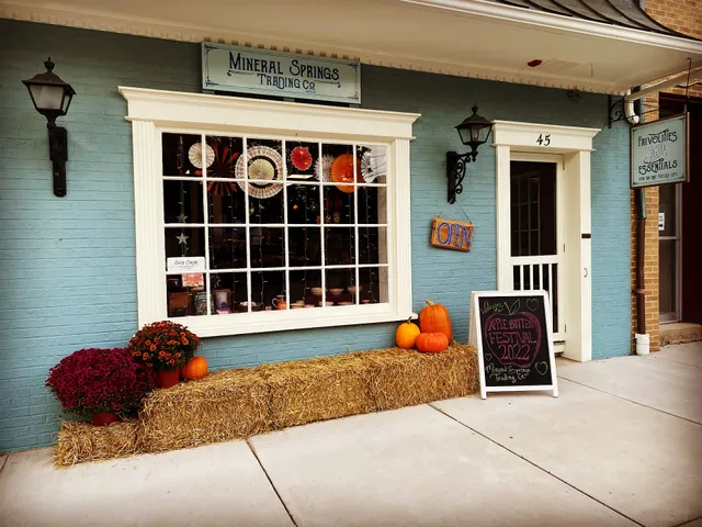 Mineral Springs Trading Company