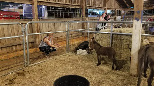 White County Fair Association
