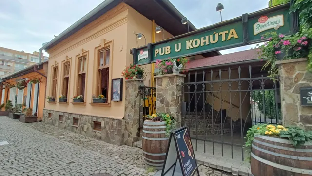Pub u Kohúta