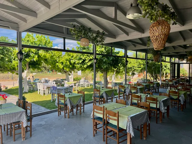 Τα πηγάδια Taverna / Ta pigadia (new taverna 2025)