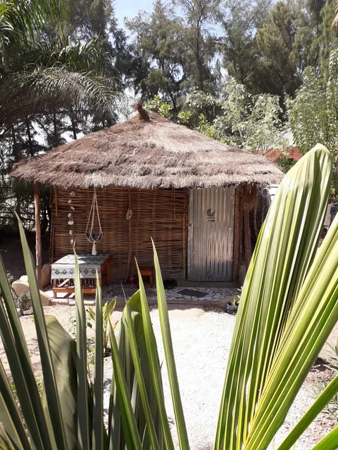 Chez Bethy & Baboulaye, Jungle et Océan