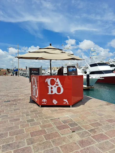 Morcabo Tours en Los Cabos