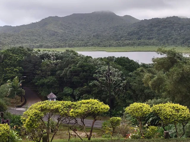 Grand Étang National Park