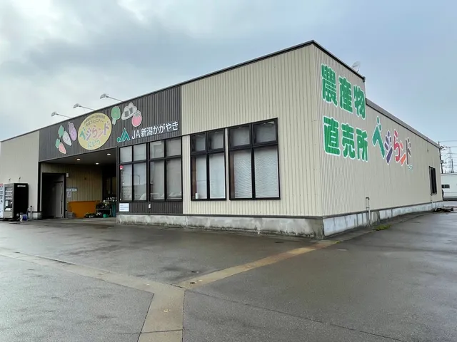 ベジらンドにいつ【ＪＡ新潟かがやき】