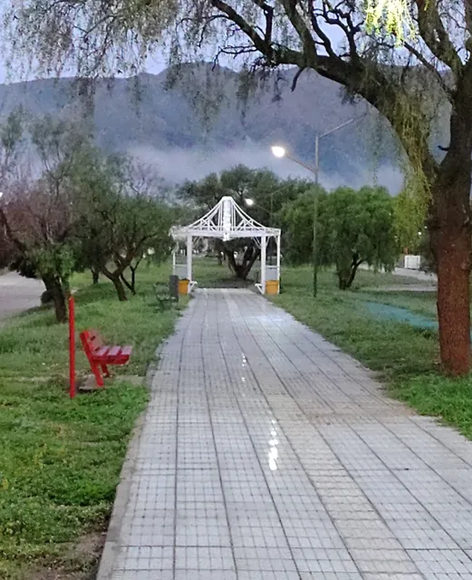 DEPARTAMENTO ALQUILER