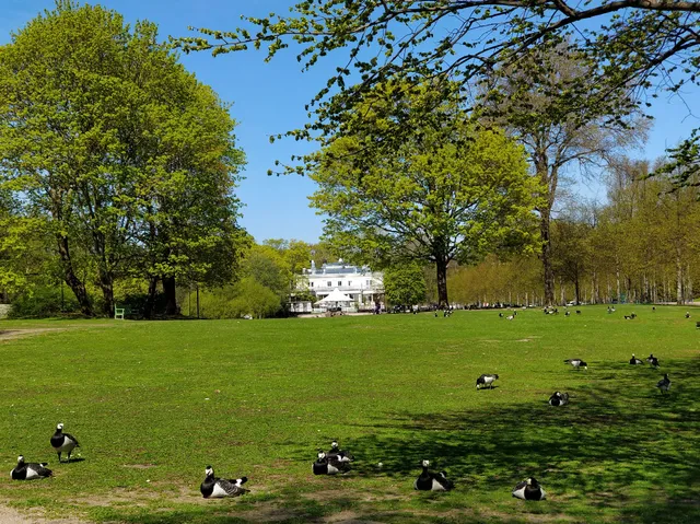 Kaivopuisto Playground