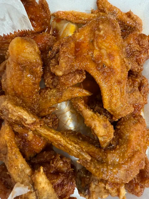 Toledo Wings