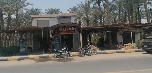 سقاره بالما كلوب بالجيزة