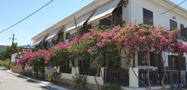 Hotel Angeliki , Μοσχογιαννη Α.Ε