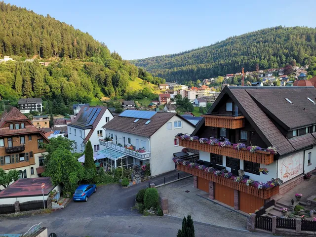 Aparthotel Schwarzwald Panorama