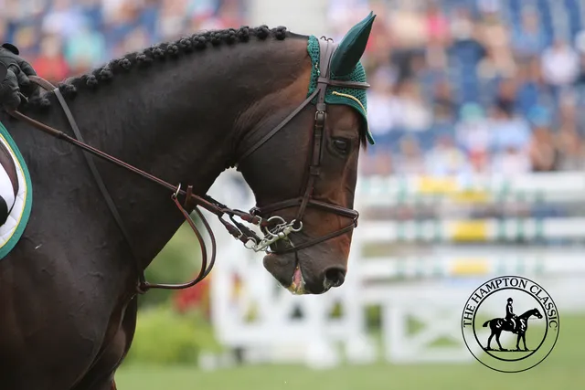 Hampton Classic Horse Show Inc