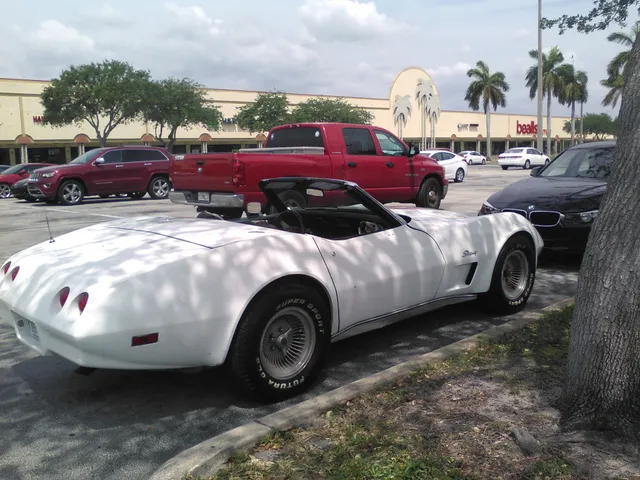 Shoppes At Palm Coast Plaza