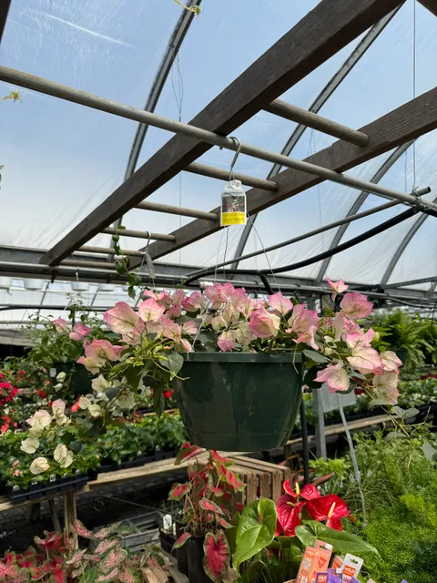 Station Road Farm & Landscaping