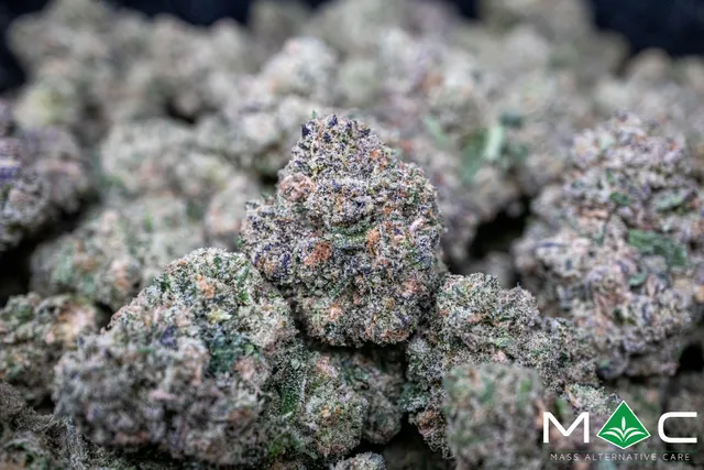 Mass Alternative Care Amherst Dispensary