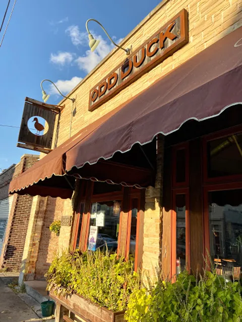 Odd Duck