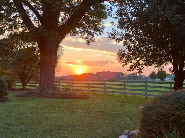 Piney Grove Farm Market