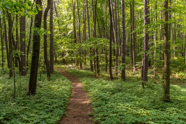 Peach Mountain Observatory