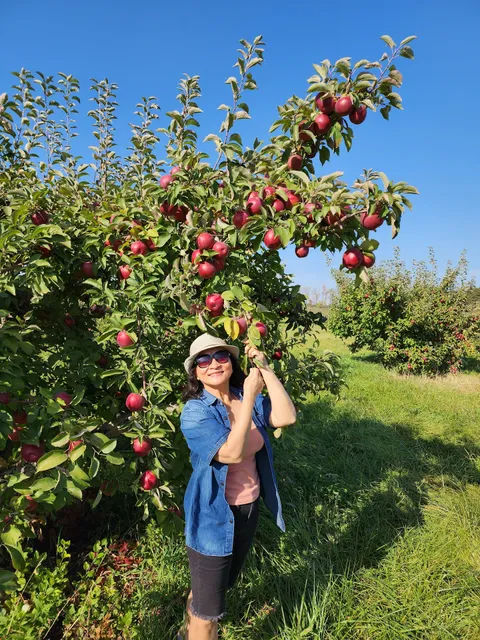 Afton Apple Orchard