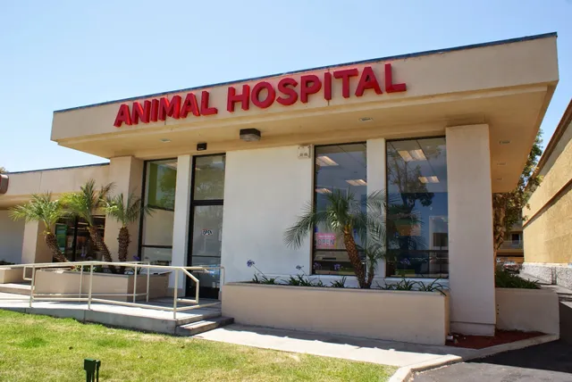 San Diego Bay Animal Hospital
