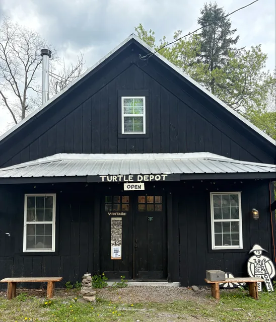 Turtle Depot