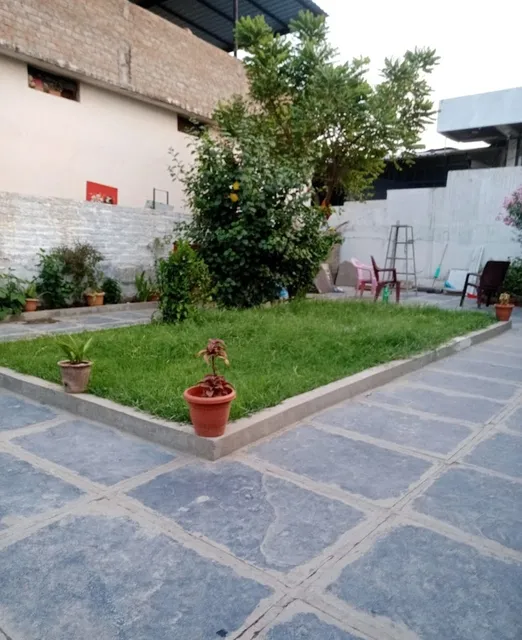 Green mango tree family guest house