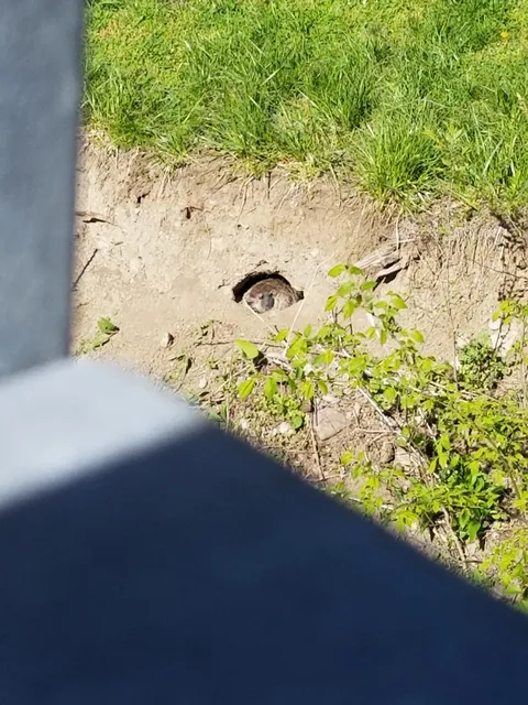 Eastwood MetroPark Springfield Street Entrance