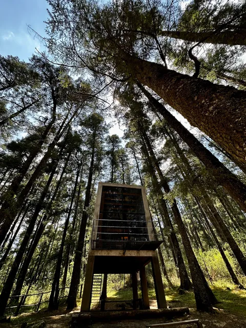 Campamento Los Cedros