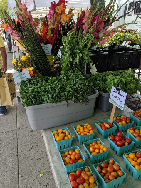 Sunnyside Greenmarket