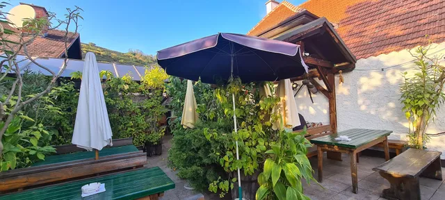 Heuriger Weingut Hamböck