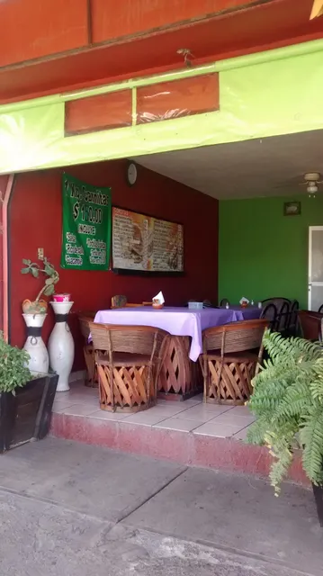 CARNITAS Y GORDITAS MI GORDO