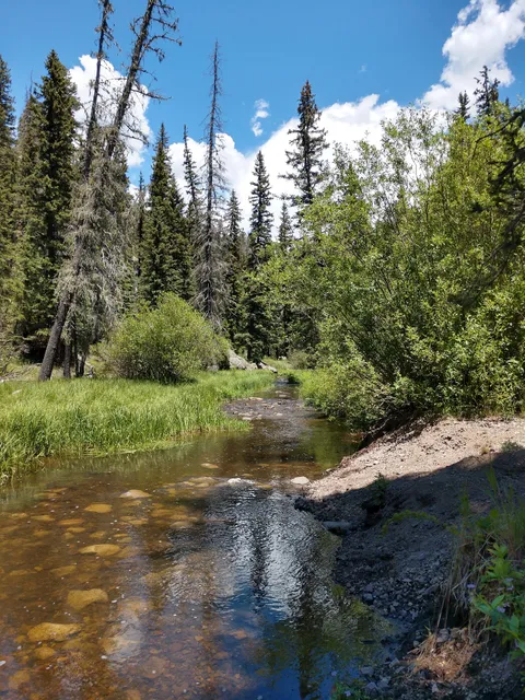 Las Conchas Day Use Site