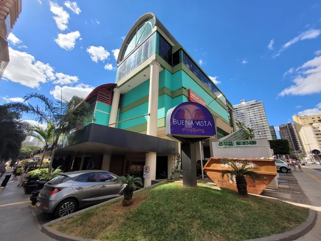 Buena Vista Shopping