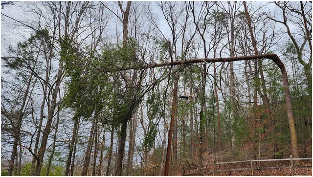 Sevier County Electric System