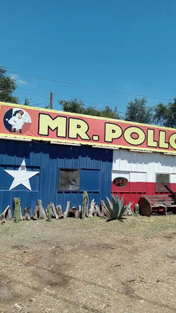 Mr Pollo