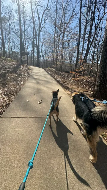 E.E Robinson Park South