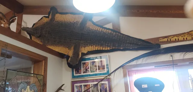 Mark Knapp Custom Knives