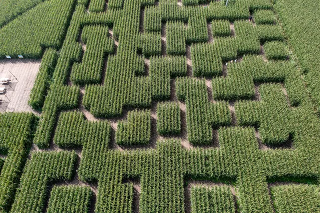 Pop Corn Labyrinthe ST-MALO - Labyrinthe Géant de Maïs