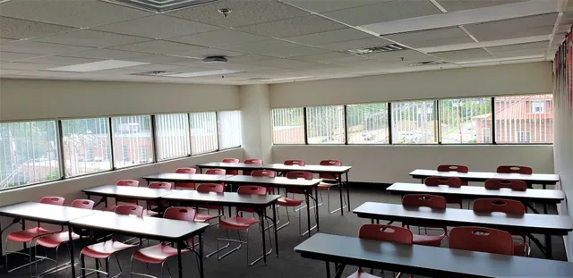 The Princeton Review