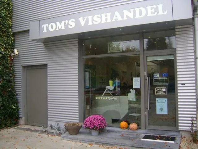 Toms Vishandel