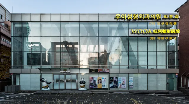 WOOA Plastic Surgery & Skin Clinic Seoul