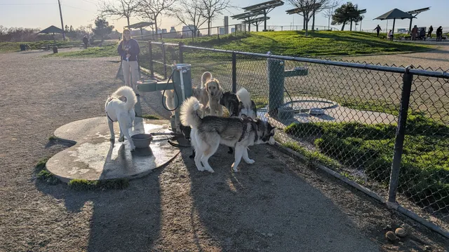 Sutter’s Landing Dog Park