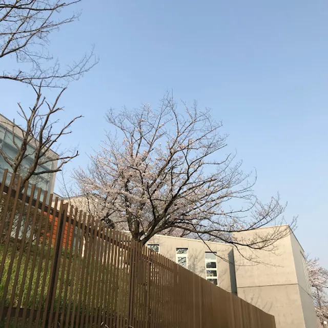 四季芸術センター（本館）