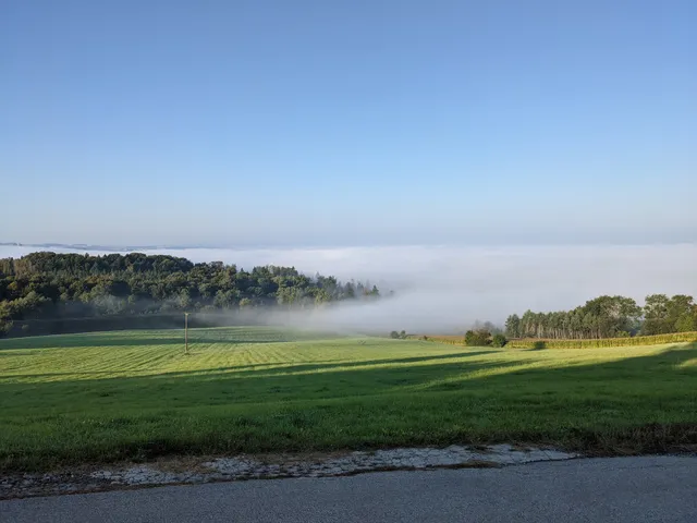 Stellplatz Gut Wolfersdorf