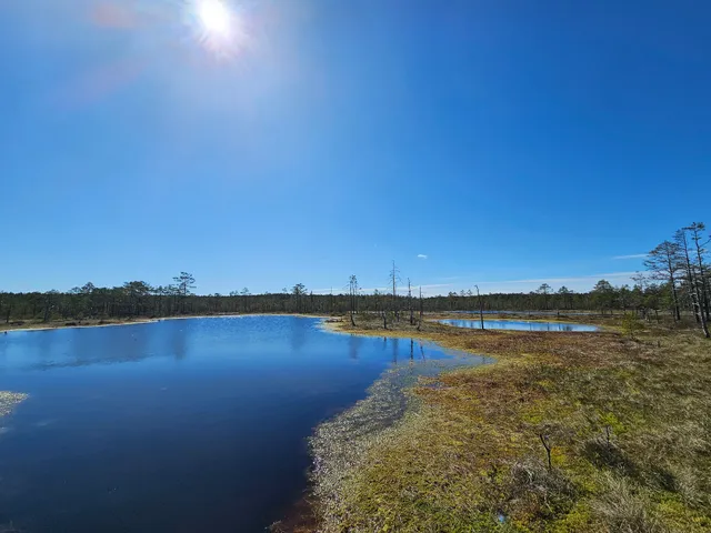 Viru bog nature trail