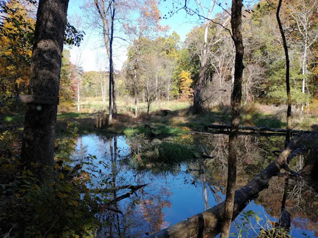 Mill Brook Preserve