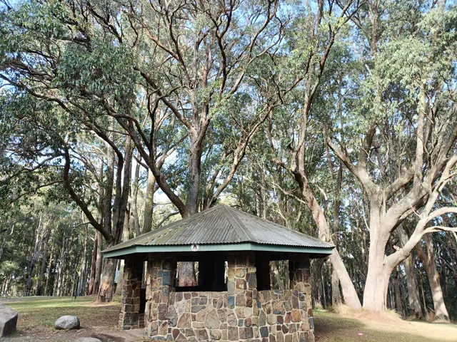 One Tree Hill Picnic Ground