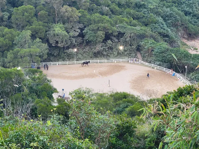 Clearwater Bay Equestrian Centre