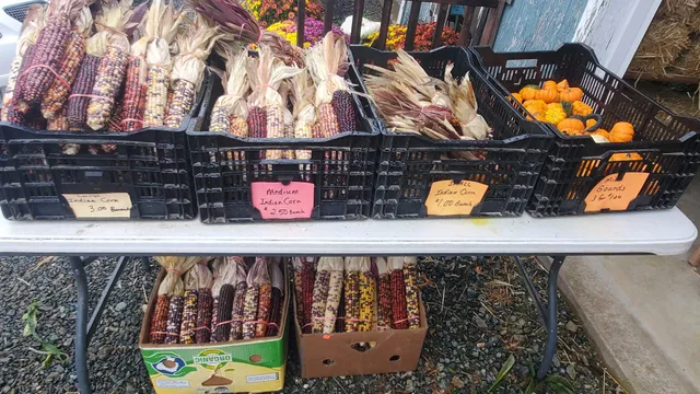 Scenic View Farm Market