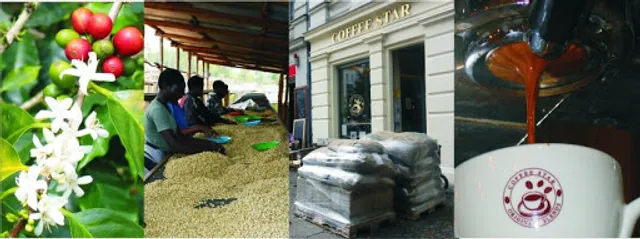 Coffee Star Origins & Blends