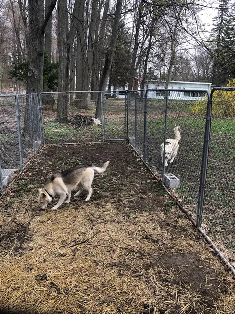 Bunker Hill Township